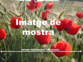 Foto de la Galeria
